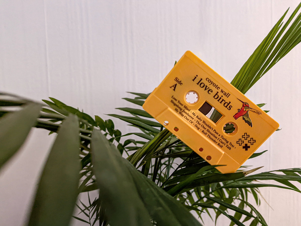 "I Love Birds" cassette