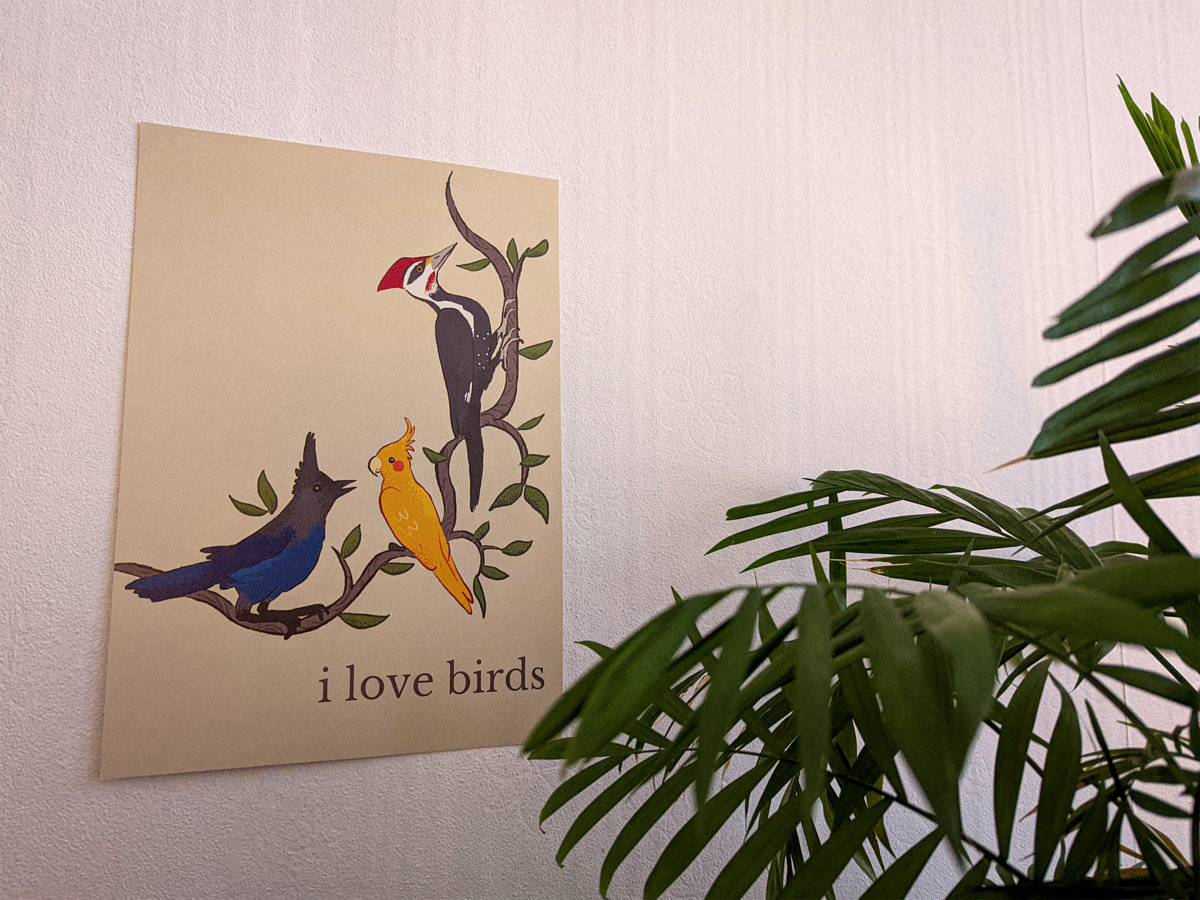 "I Love Birds" print